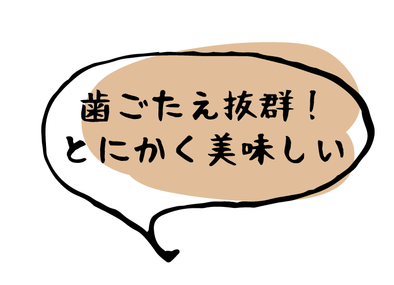 歯ごたえ抜群！